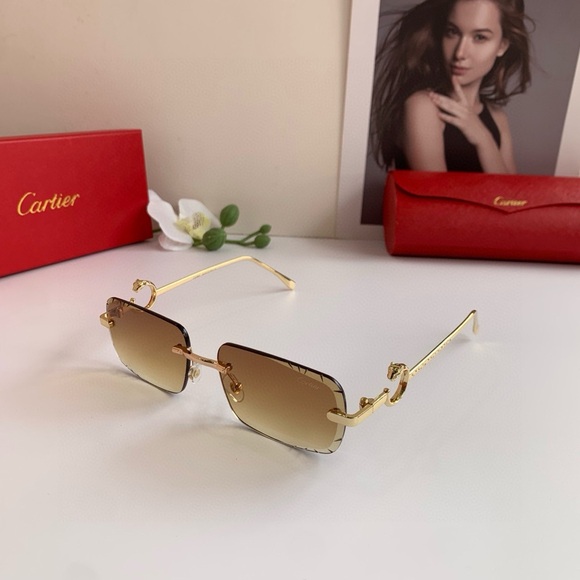 Cartier Gold and Brown Women\'s Sunglasses main image 5